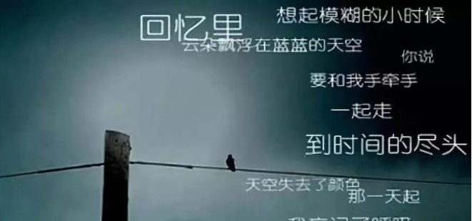 上海市侦探公司:事业成就和生活品质