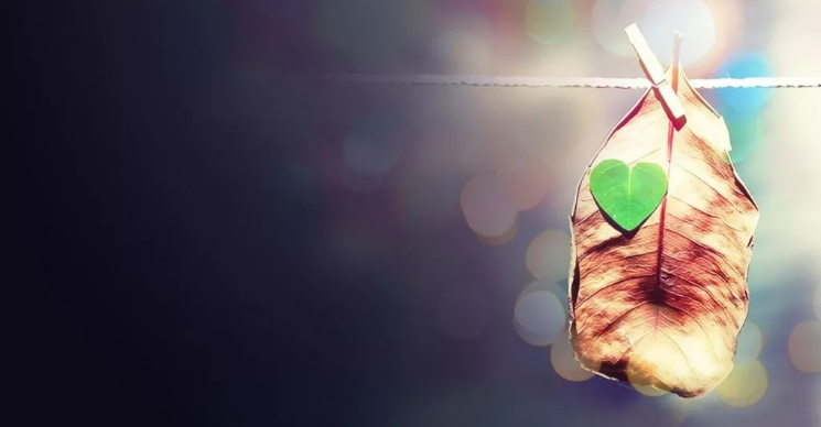 上海市侦探调查:只剩下合适、将就而已